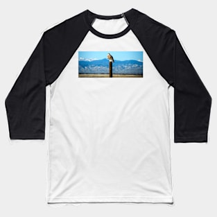 Ferruginous Hawk Baseball T-Shirt